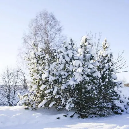 Apartment Apartment, Braunlage